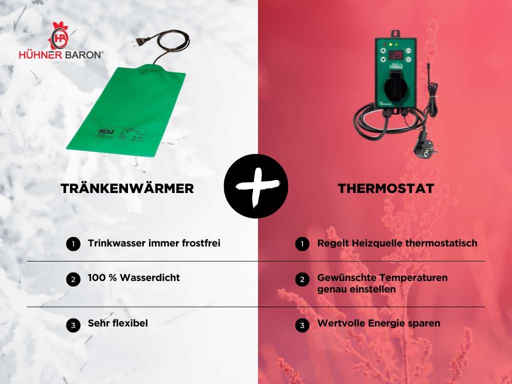 Tränkenwärmer mit Thermostat - Eine Wohltat für Hühner im Winter