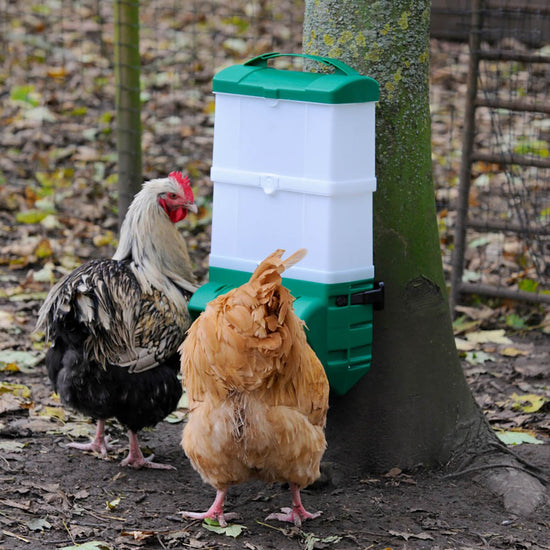 5 kg Erweiterungssilo für Hühner-Futterautomatc CLUCKY