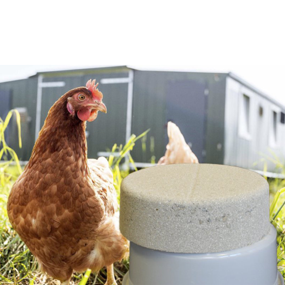 Pickstein mit MeidArom® 8,5 kg, biotauglich, für natürliches Pickverhalten & Stressabbau
