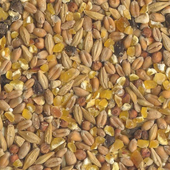 Scharrel-Graan Körnerfutter (GVO Frei) 25 kg Ergänzungsfutter