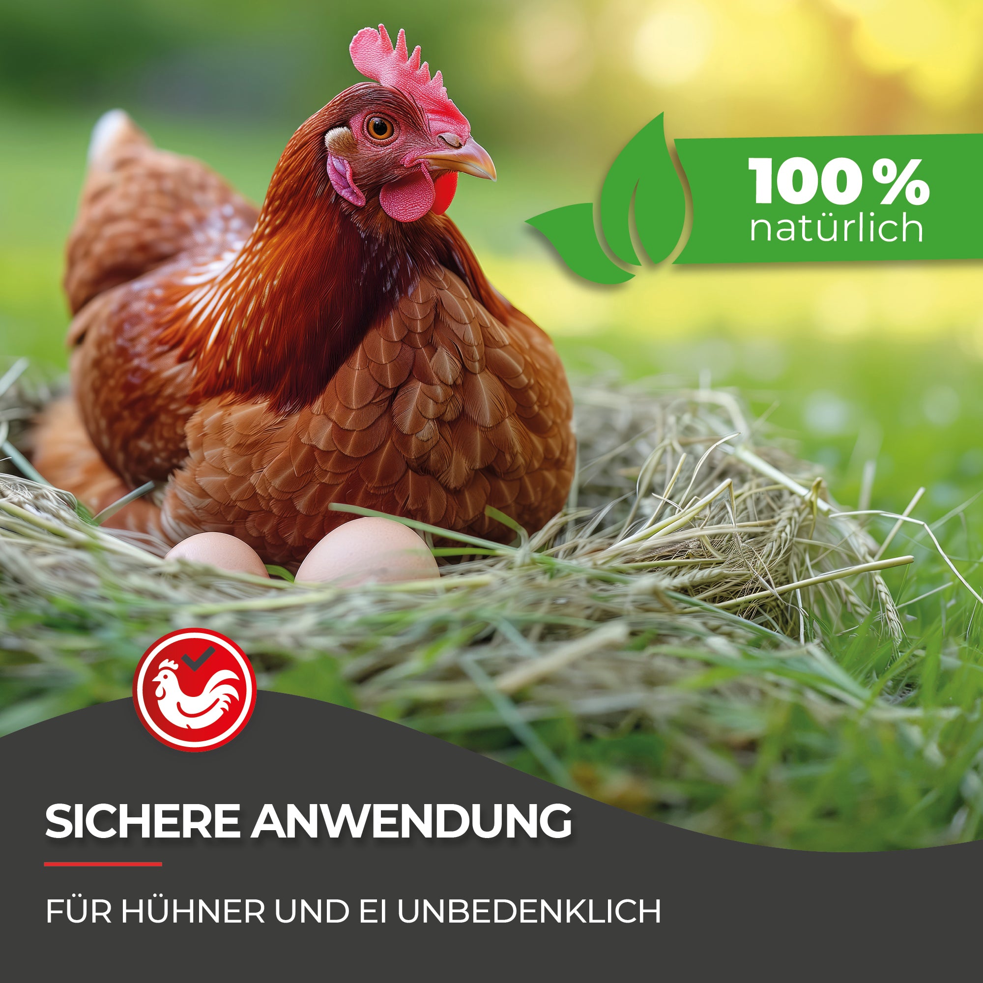 Hühnermilben bekämpfen mit Milbosana® Milbenspray 20 L