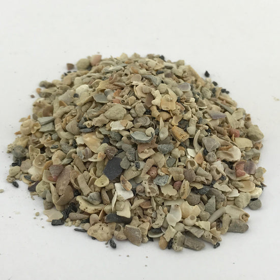 PICOBAL® Korallalgen, Muschelschalen und Spurenelemente für Höchstleistungen