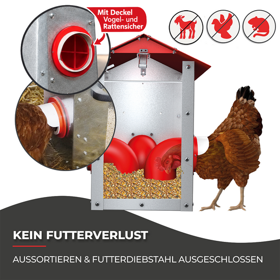 Futterautomat für Hühner - CLUCK-O-MATIC® für bis zu 20 Hühner