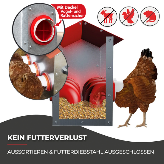 Futterautomat für Hühner - CLUCK-O-MATIC® für bis zu 45 Hühner