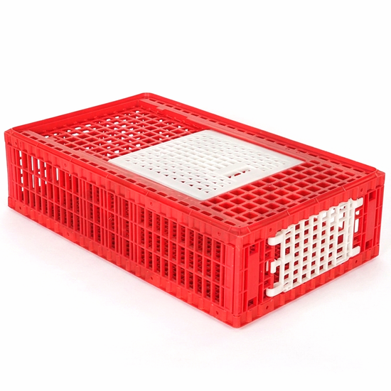 Geflügel Transportbox 96 x 57 x 27 cm, Transportkiste für <16 Hühner