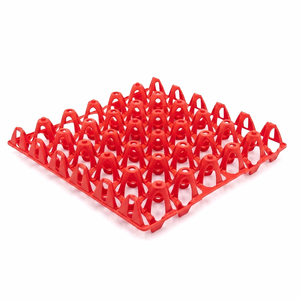 Eierhorde für 30 Eier, Eiertablett für Hühnereier