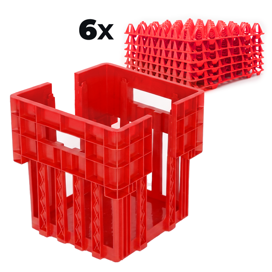 SET Eiertransportbox inkl. 6 Eierhorden (180 Eier), Halterung und Stapelung für Eieraufbewahrung