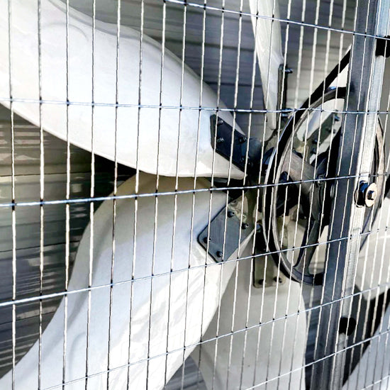TKZM FRP - Profi Abluftventilator ultraleise für den Hühnerstall mit automatischer Jalousie, 44.000 m³/h
