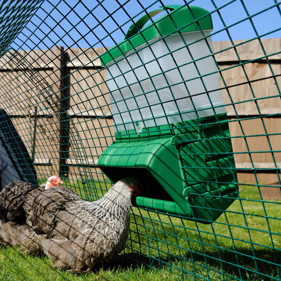 Käfig-Futterautomat Set CLUCKY für Hühner 10 kg – inkl. Erweiterungssilo & Wandhalterung